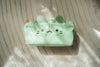 Melon Soda Cat Travel Case