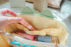 Melon Soda Cat Travel Case