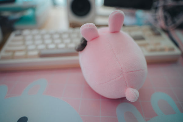 Mini Irobun Plush